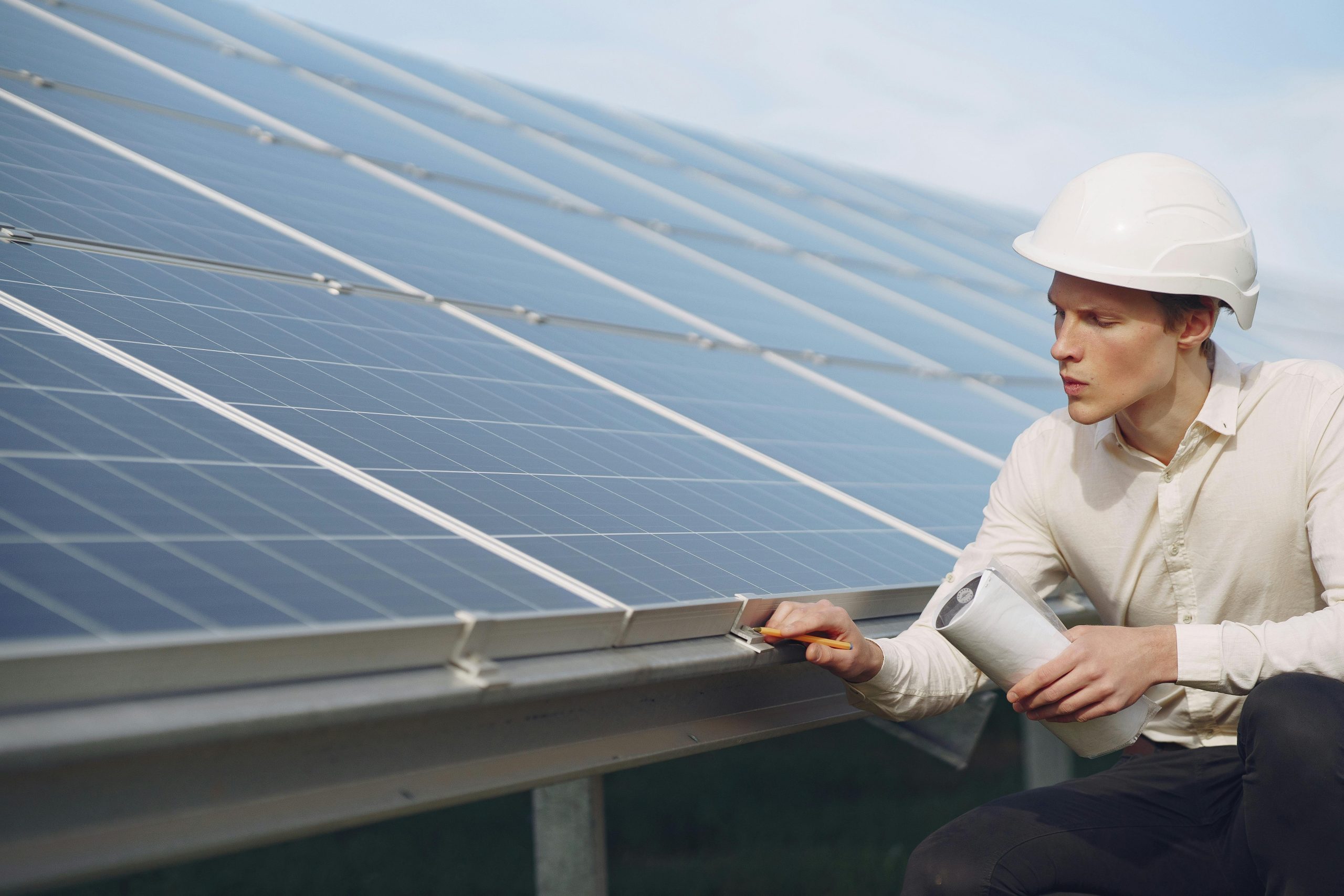 inspeccion